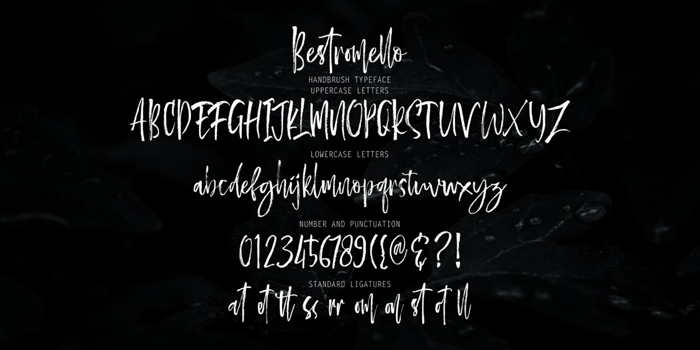 Przykład czcionki Bestromello Script Regular